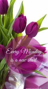 Monday good morning flowers images. Every Monday Is A New Start Monday Tulips Monday Greetings Good Morning Flowers Happy Monday Quotes