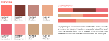 color of the year 2019 pantone 16 1546 living coral pms 7417