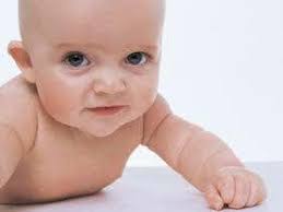 IVF strike rate could more than double