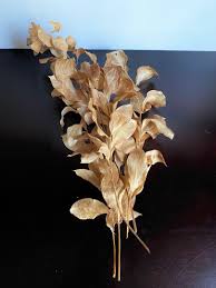 Jika ingin tampil beda, buatlah rangkaian lilin. Bunga Daun Kering Desain Kerajinan Tangan Lainnya Di Carousell