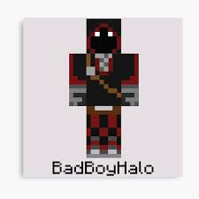 Ein block mit diesem steckbrief wird automatisch der kategorieblock zugeordnet. Minecraft Skins Canvas Prints Redbubble