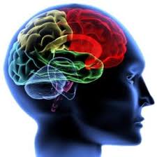 Tips For Translators Shift To Right Brain Mode To Improve Your Productivity At Work How To Increase Energy Learning Disorder Brain Health