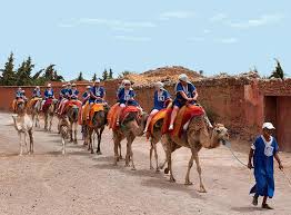 That's true, and i'm thinking of going back next year if you're interested. Desert And Palm Grove 2 Hour Camel Ride From Marrakech Including Moroccan Tea And Snack 2021 Happytovisit Com