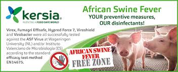 Pfizer and moderna also didn't conduct proper animal studies, weinstein said. Home Kersia Group