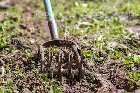Sternehand Grubber Zur Arbeit Des Bodens Unkraut Im Garten Das Konzept Der Fruhling Gartenarbeit Stockfoto Und Mehr Bilder Von Arbeit Und Beschaftigung Istock