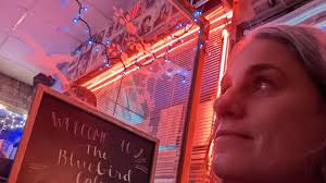 DOLDRUMS" The First Full Length Ellen Braun Album by Ellen Braun Francis —  Kickstarter