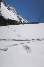 Market data provided by factset. Indian Army Find The Yeti The Abominable Snowman Game Afoot The Economic Times