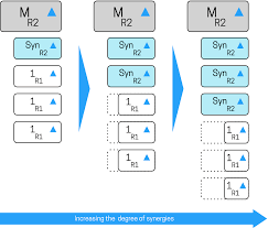 Toward A Functioning Organizational Chart Structure