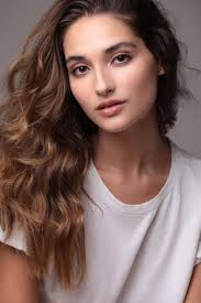 Ford Models Santa Catarina