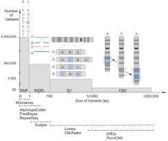 Whole Genome Analysis Of An Extended Pedigree With Prader