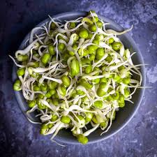 How To Sprout Mung Beans