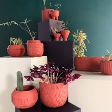Karena bunga anggrek memiliki tampilan yang sangat cantik dan menawan, sehingga menarik hati atau banyak juga yang menanam bunga anyelir ini di dalam pot. Rekomendasi 8 Pot Tanaman Untuk Dekorasi Rumah Yang Lebih Cantik Kumparan Com