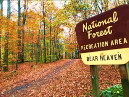 The monongahela national forest is located in the eastern portion of west virginia and is comprised of over 830,000 acres. Monongahela National Forest Bear Heaven Campground