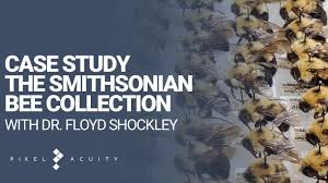 Pixel Acuity and the Smithsonian Institution's Entomology Project