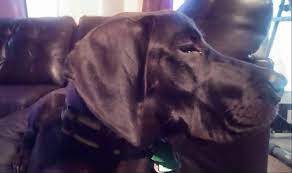 Tüm hatlarımız şu anda meşgul, lütfen daha sonra tekrar deneyiniz. All American Pest Control Home Facebook