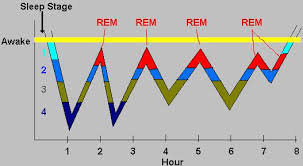 sleep facts snooze for kids