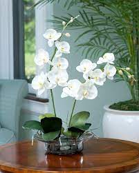 Fleures jaunes pour donner du couleur à vos chambres au printemps. Idees Originales De Decoration Avec Des Orchidees Arrangements D Orchidees Orchidee Culture Des Orchidees