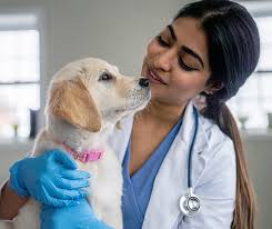 Paw Print Gardens & Cemetery