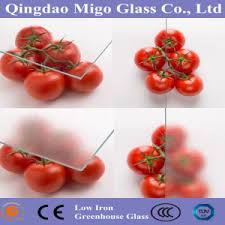 All of the glass in the acadian curved glass greenhouse kit is single tempered glass, even the curve. Greenhouse Tempered Glass Panels Glass For Greenhouse Manufacturers And Suppliers China Wholesale Factory Migo Glass