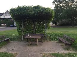 Das haus hat eine große überdachte terrasse ( unser sommerwohnzimmer). Gute Geister Am Moselufer Punderich An Der Mosel