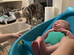 They should avoid riding a bicycle or other toys they sit on until any swelling has gone down. First Bath September 2018 Babies Forums What To Expect