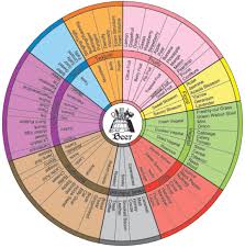 Beer Tasting 101 Quality Beverage