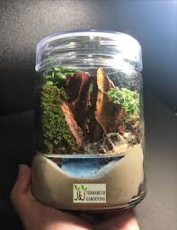 806 Nature Terrarium Terrarium Moss Terrarium Yishun