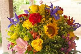 Find new and preloved razzle dazzle items at up to 70% off retail prices. Mesa S Top 5 Florists Ranked