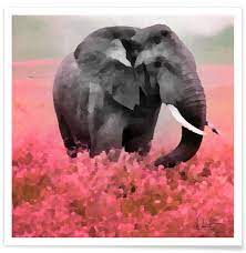 The task required was to create high quality image with creative and using latest state of the art technology to create marketing ads. Ele Phant Poster Juniqe