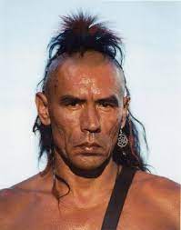 Did native americans really had that hairstyle with half of the head shaved and the other half with long hair? Native Mohawk Hairstyle Novocom Top