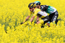 菜の花畑を走るイエロージャージのプリモシュ ログリッチェ スロベニア ロットnlユンボ photo tour de romandie ツアー 勝利 スプリント
