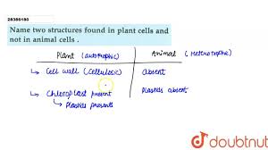 We did not find results for: Name Two Structures Forund In Plant Cells And Not In Animal Cells