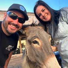 Today's adventures so far. Oatman and Kingman have been absolutely amazing.