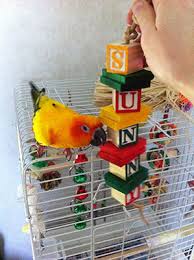Homemade diy bird toys are easy to make with household items. Make Your Own Bird Toys At Discounted Prices