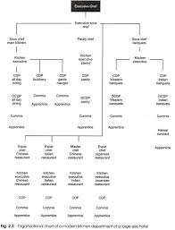 organizational structure of the kitchen