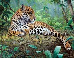 Leopar 2020 Buyuk Kediler Hayvanlar Hayvan Resimleri
