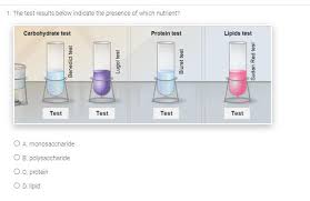 Food passes through a long tube inside the body known as the alimentary canal or the gastrointestinal tract (gi tract). How Do You Test For Carbohydrates Proteins And Lipids Gizmo