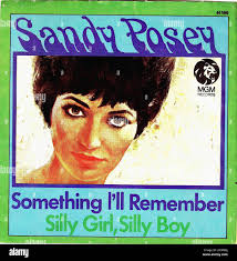 Sandy posey hi-res stock photography and images