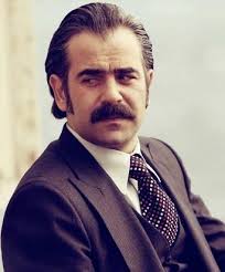 Karadayi urdu1
