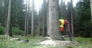 I Pinimg Com 600x315 Ec 15 65 Ec1565c90c0200590