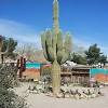 Tour the chocolate factory for free then meander through the botanical gardens, which features 350 species of cacti, succulents, and desert plants. Https Encrypted Tbn0 Gstatic Com Images Q Tbn And9gcqx2wdhohwfmm3oqcuhkuwplqyxntnghns3gvktcuznfh3ui8pb Usqp Cau