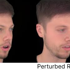 Composition of our dataset. We show the range of head poses (in...