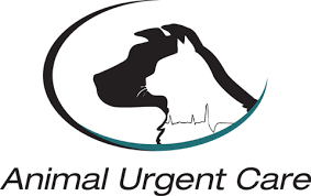At pet check urgent care, our veterinarians serve sewell, nj, deptford, nj and the surrounding areas with more than emergency vet care. Emergency Vet In Escondido Ca Animal Urgent Care