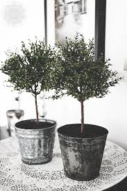 L Art De Vivre En Scandinavie Frenchy Fancy Fleur Jardiniere Deco Jardin Decoration Balcon