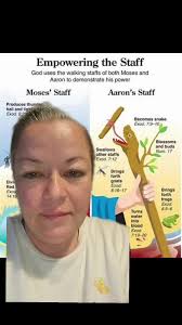 Holy sh*t, this is deep. Aaron's rod, the Nile turning red, and Jesu...