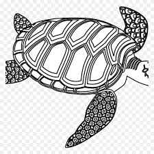 Black and white curving tall flowering plant. Turtle Black And White Clipart Free Clipart Download Plant Black And White Clipart Stunning Free Transparent Png Clipart Images Free Download