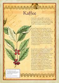 Kaffee Krauter Pflanzen Krauter Heilpflanzen