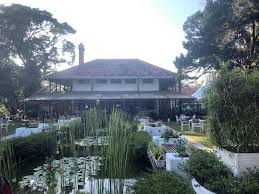 Afternoon Tea at David Brown, Penang Hill