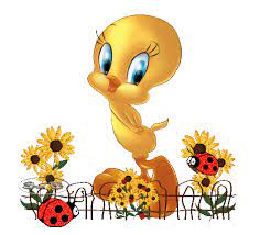 Tweety Tweety Tweety Bird Quotes Favorite Cartoon Character