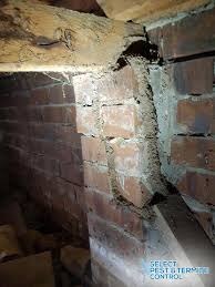 Termite inspections are performed during required real estate transactions and anytime a free inspections are offered by most commercial pest control companies. Termite Control Melbourne Inspections Treatments Pest Control